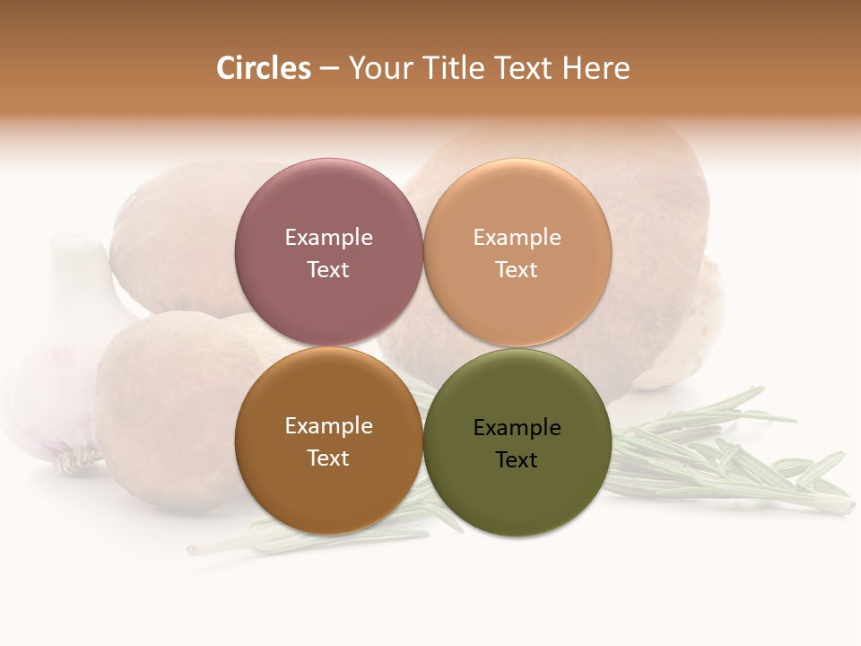 Space Astronomy Shining PowerPoint Template