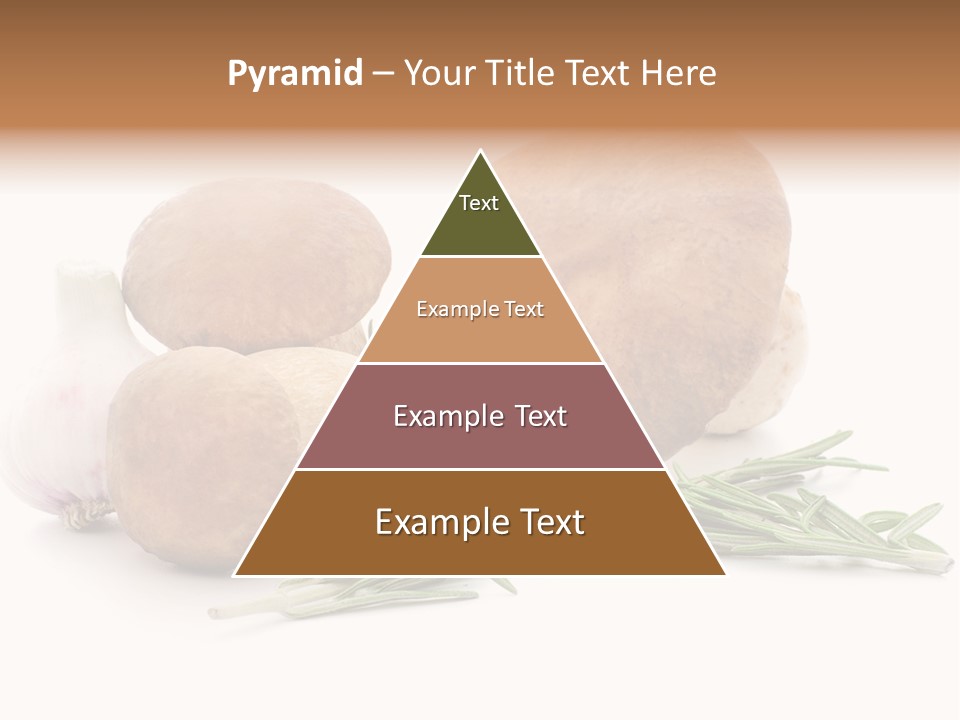 Space Astronomy Shining PowerPoint Template