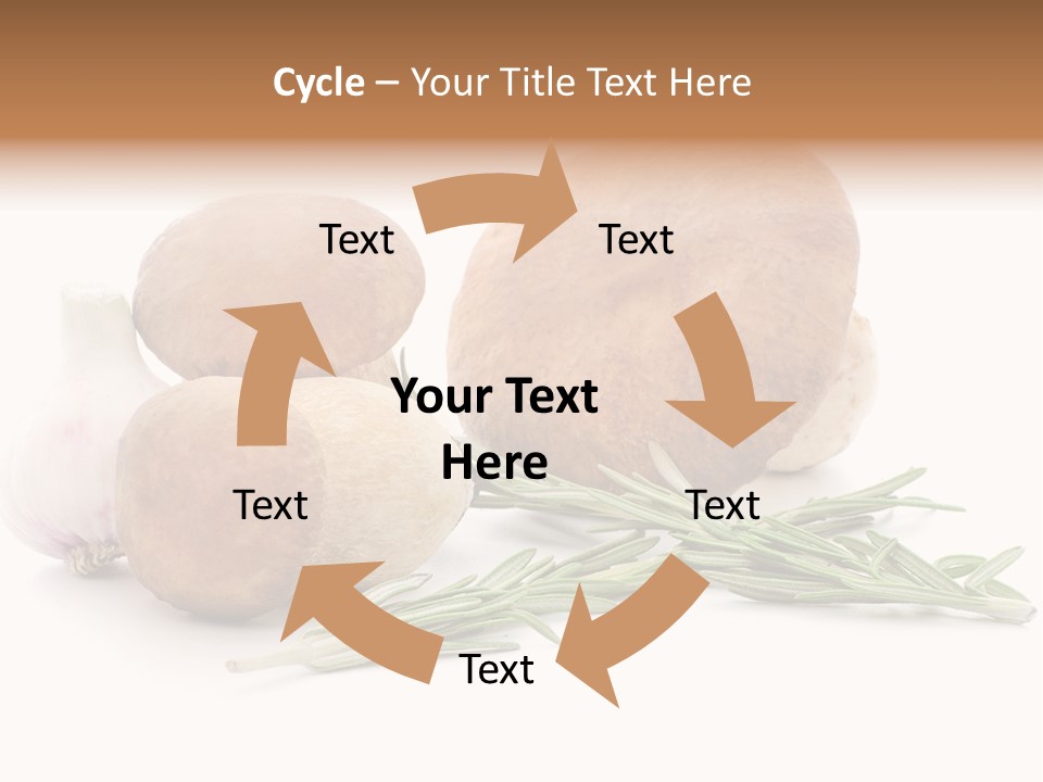 Space Astronomy Shining PowerPoint Template