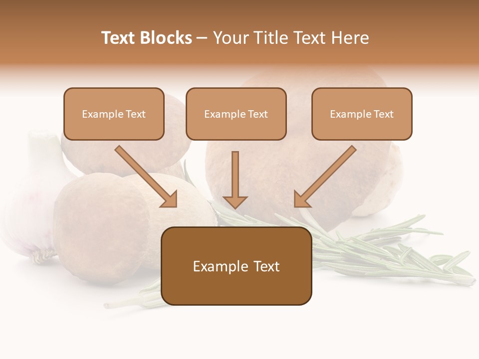 Space Astronomy Shining PowerPoint Template