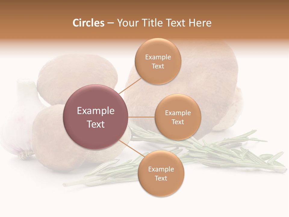 Space Astronomy Shining PowerPoint Template