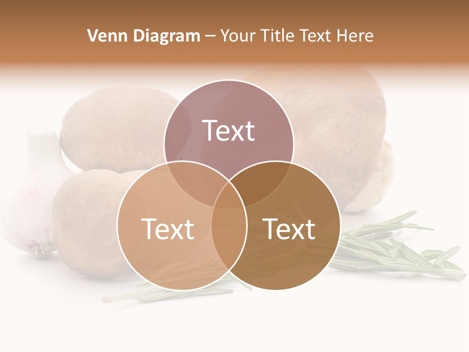 Space Astronomy Shining PowerPoint Template