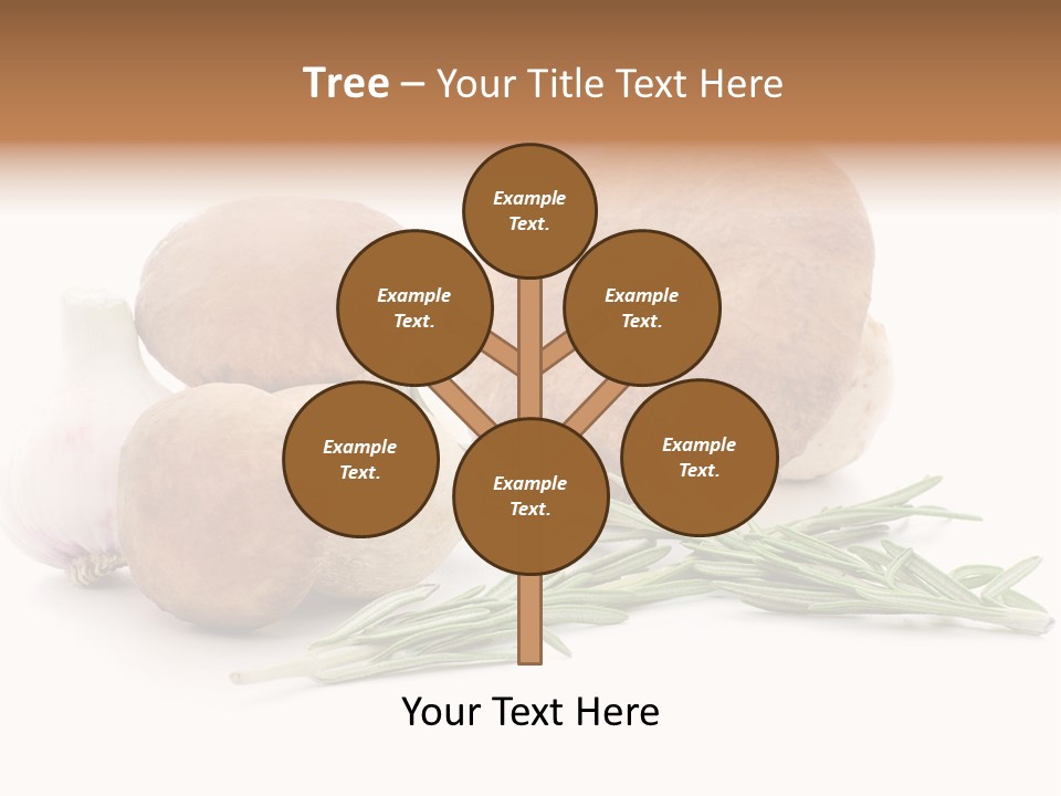 Space Astronomy Shining PowerPoint Template