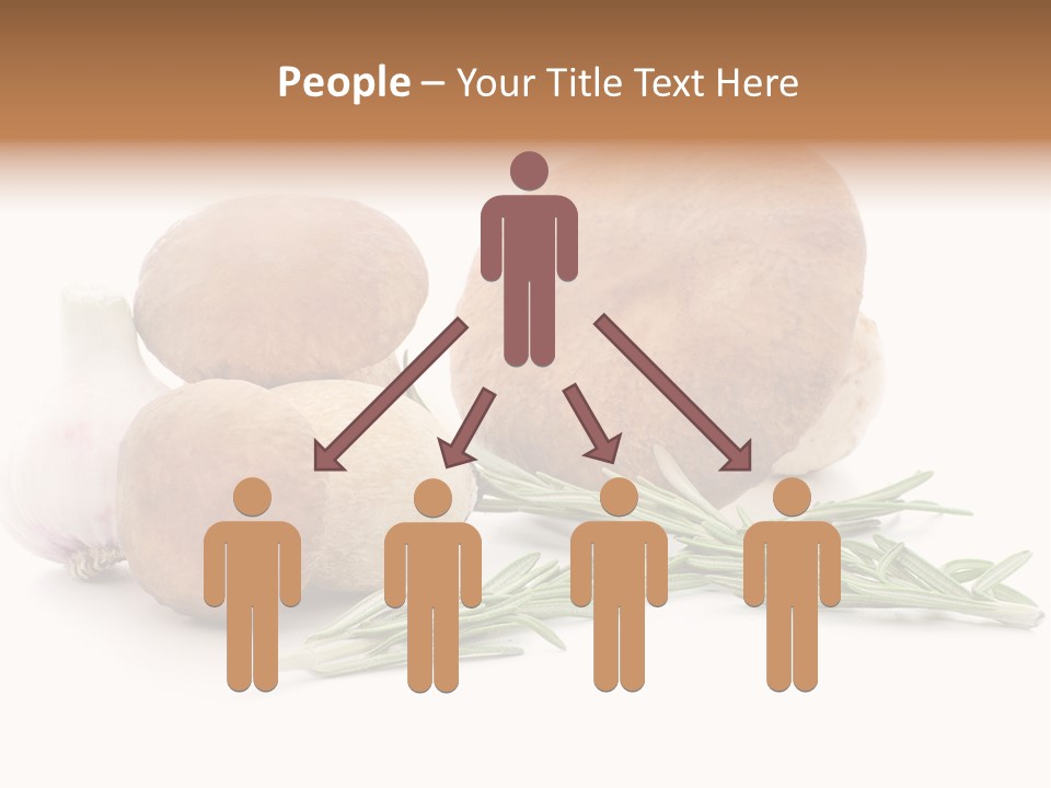 Space Astronomy Shining PowerPoint Template