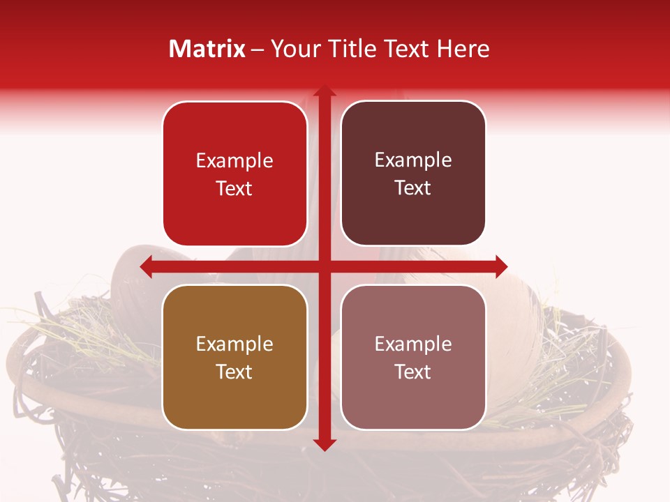 Studio Shot Decoration Candy PowerPoint Template