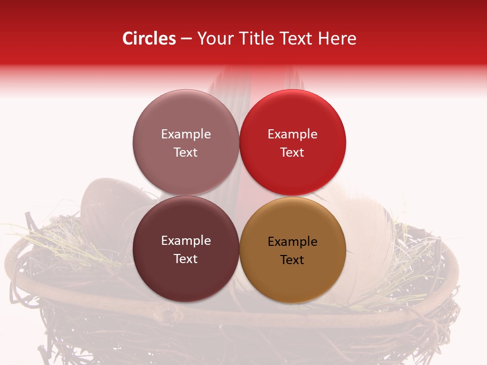 Studio Shot Decoration Candy PowerPoint Template