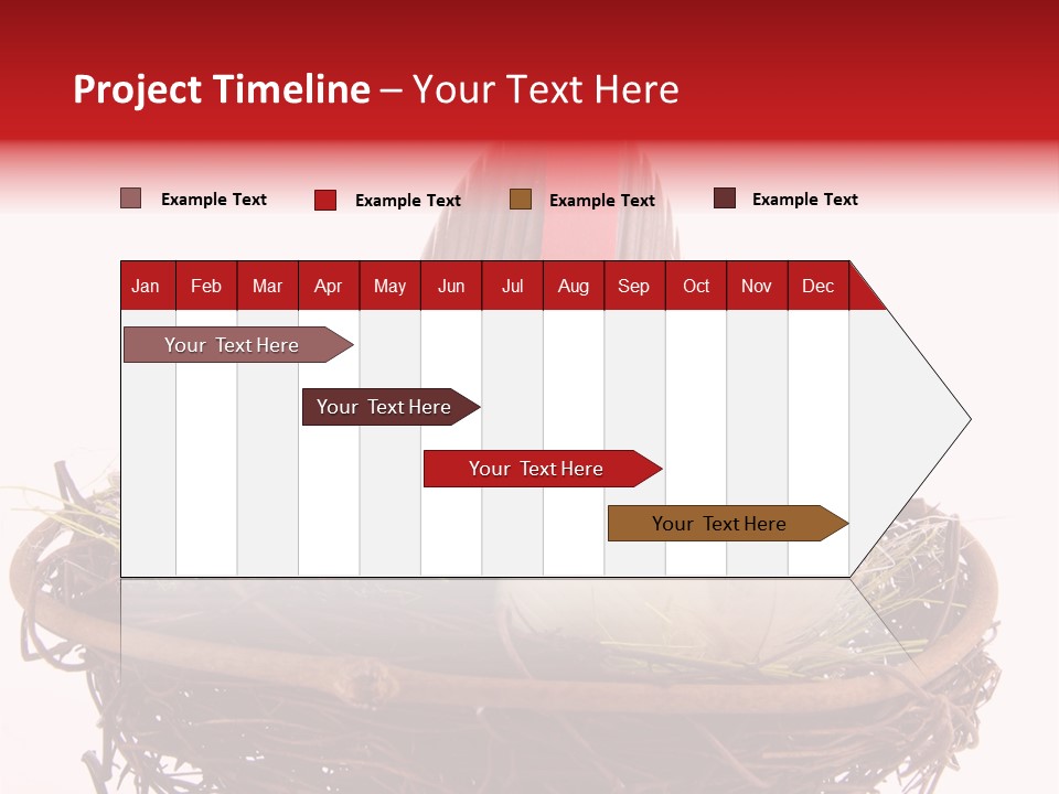 Studio Shot Decoration Candy PowerPoint Template