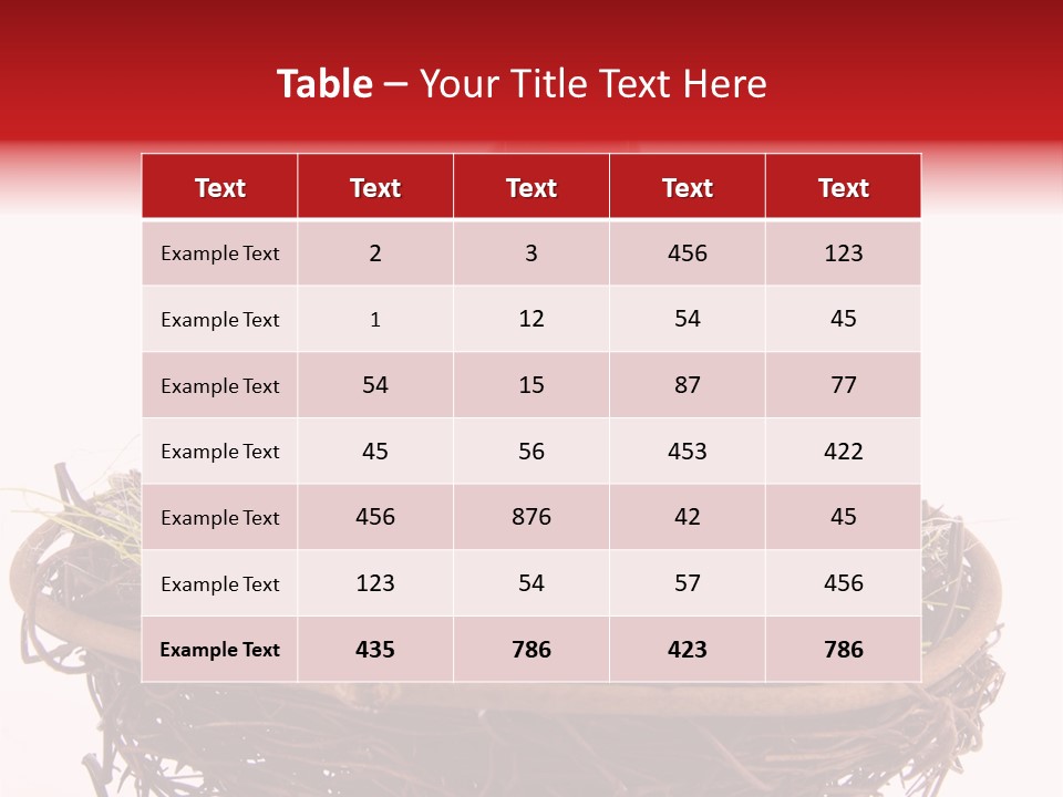 Studio Shot Decoration Candy PowerPoint Template