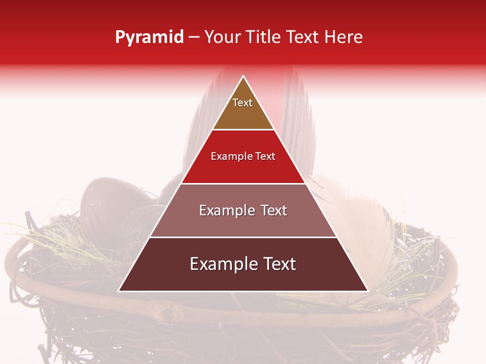 Studio Shot Decoration Candy PowerPoint Template