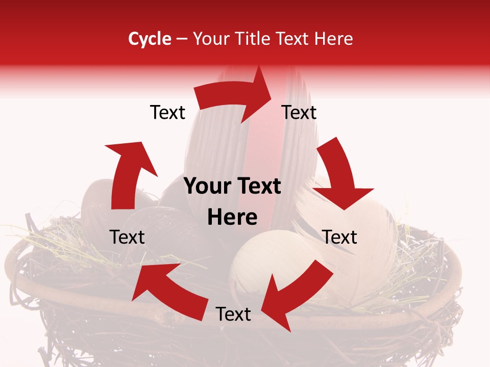 Studio Shot Decoration Candy PowerPoint Template