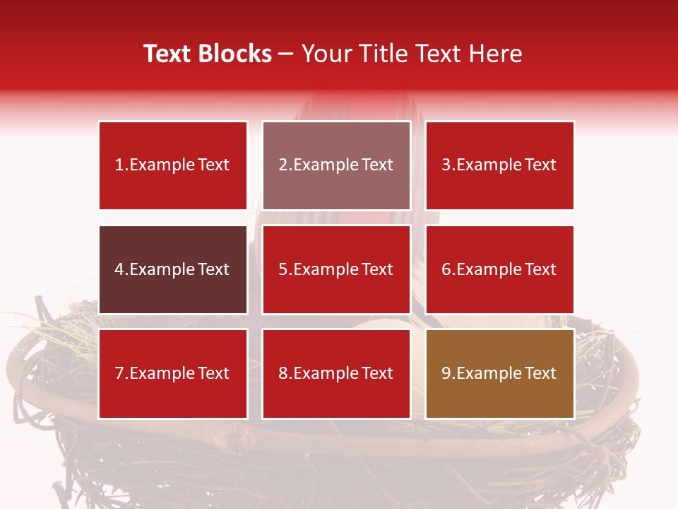 Studio Shot Decoration Candy PowerPoint Template