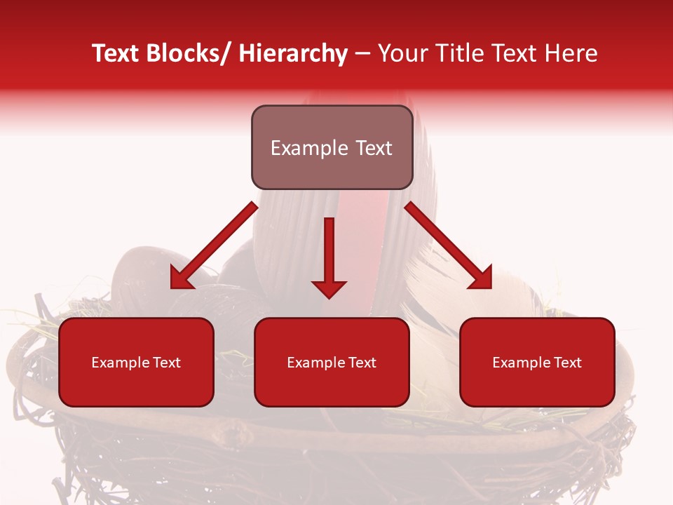 Studio Shot Decoration Candy PowerPoint Template