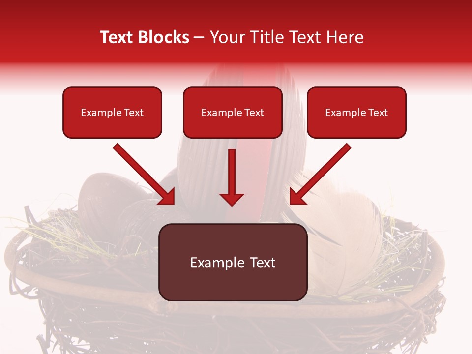 Studio Shot Decoration Candy PowerPoint Template