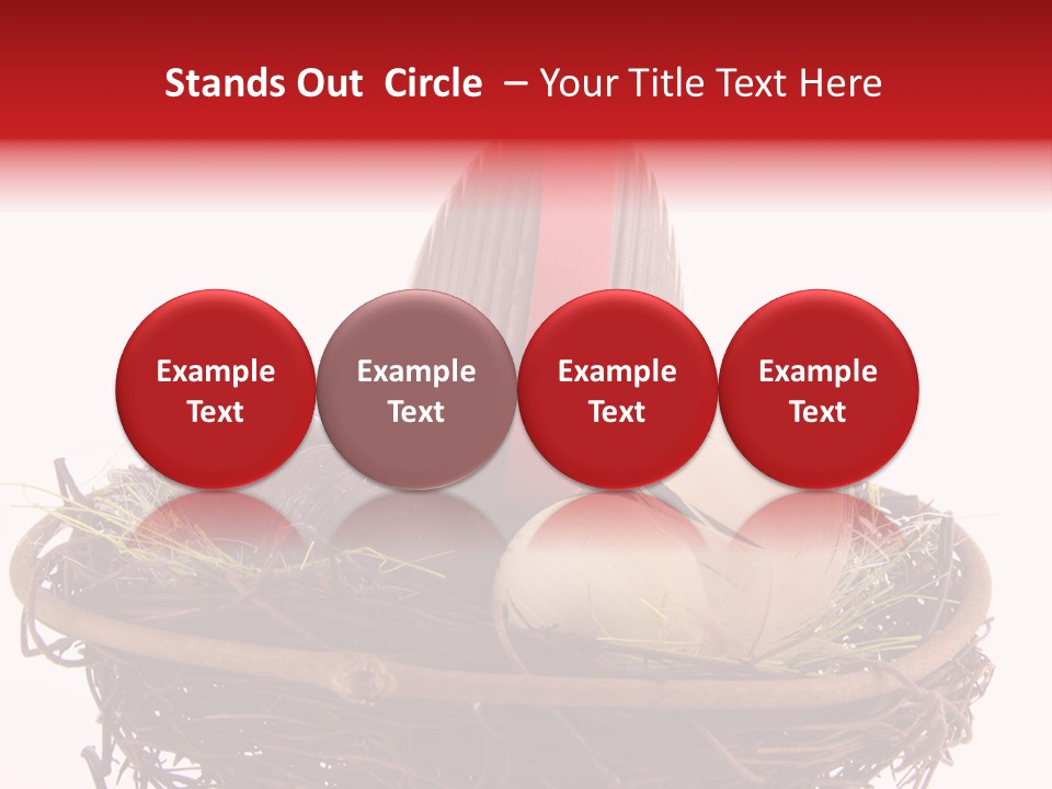 Studio Shot Decoration Candy PowerPoint Template