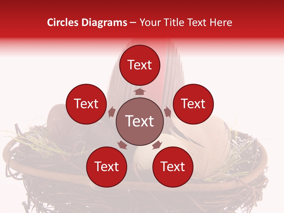 Studio Shot Decoration Candy PowerPoint Template