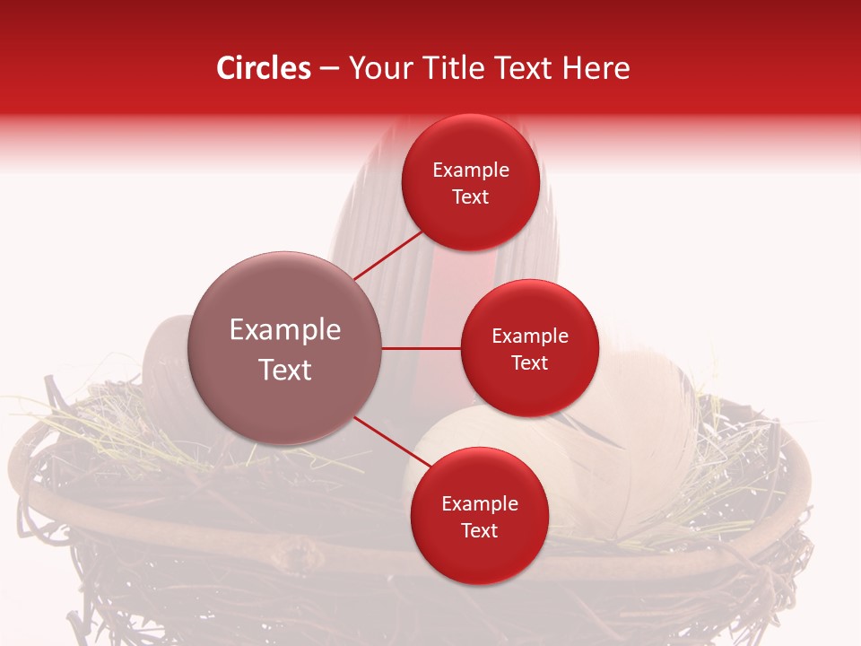 Studio Shot Decoration Candy PowerPoint Template