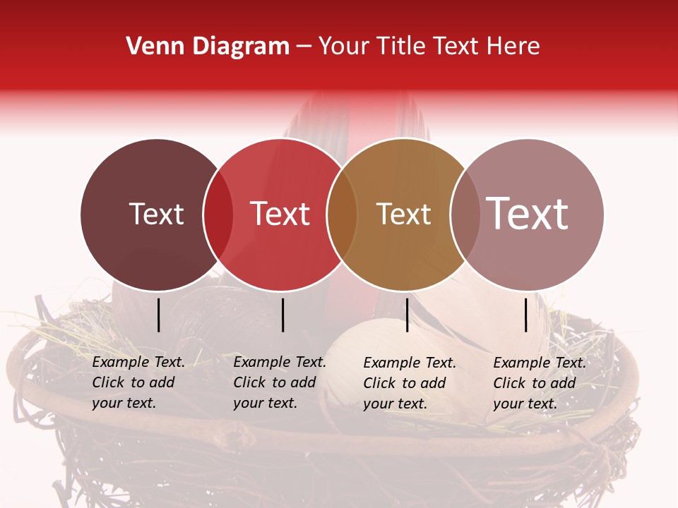 Studio Shot Decoration Candy PowerPoint Template