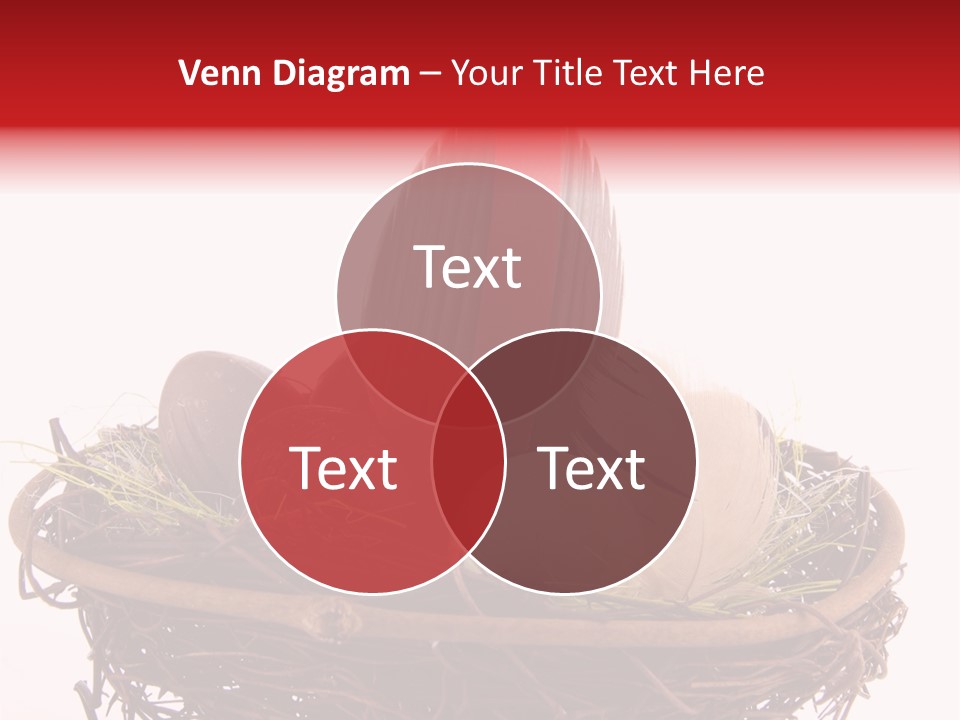 Studio Shot Decoration Candy PowerPoint Template