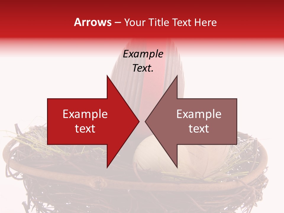 Studio Shot Decoration Candy PowerPoint Template