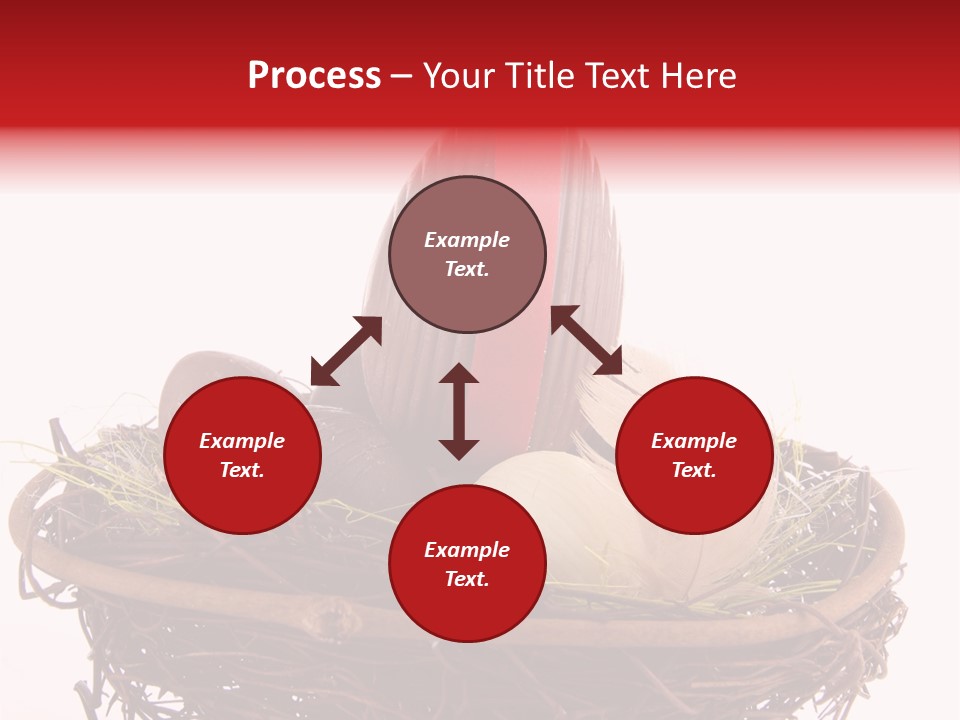 Studio Shot Decoration Candy PowerPoint Template