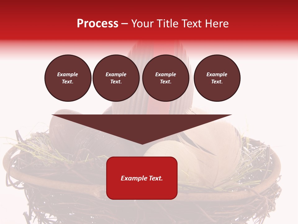 Studio Shot Decoration Candy PowerPoint Template