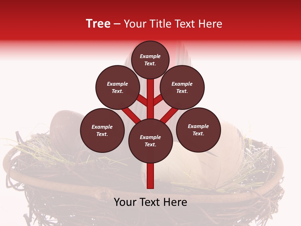 Studio Shot Decoration Candy PowerPoint Template