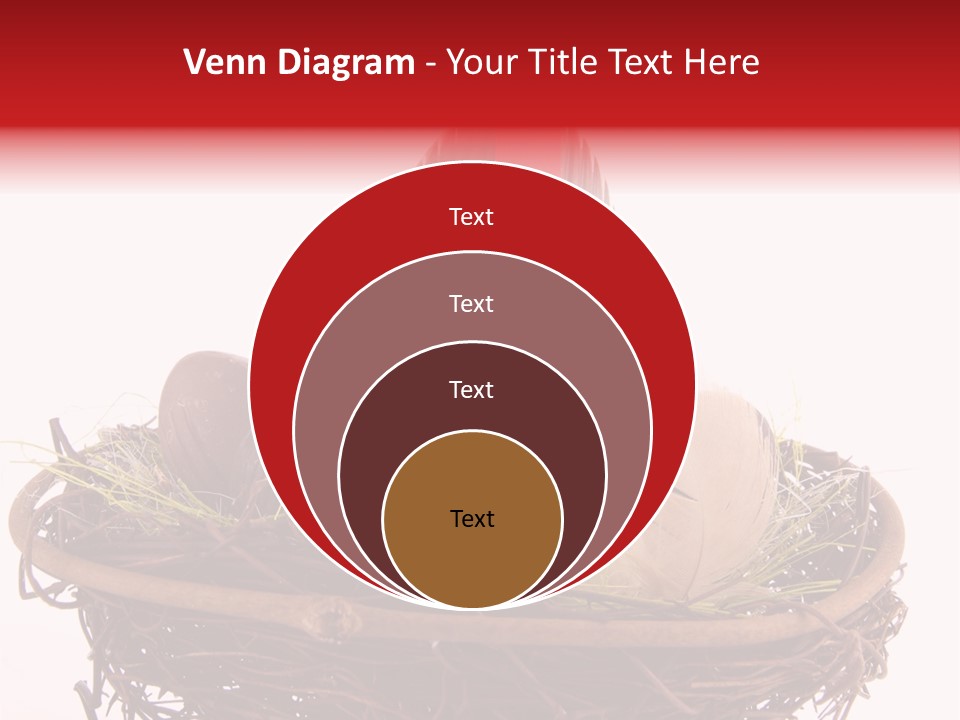 Studio Shot Decoration Candy PowerPoint Template