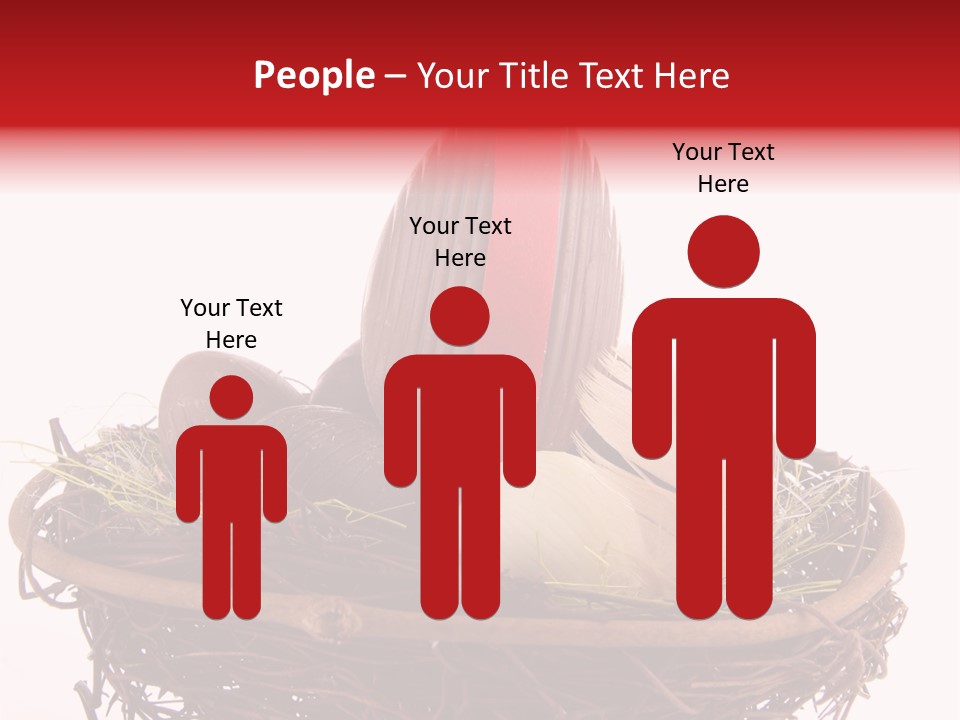 Studio Shot Decoration Candy PowerPoint Template