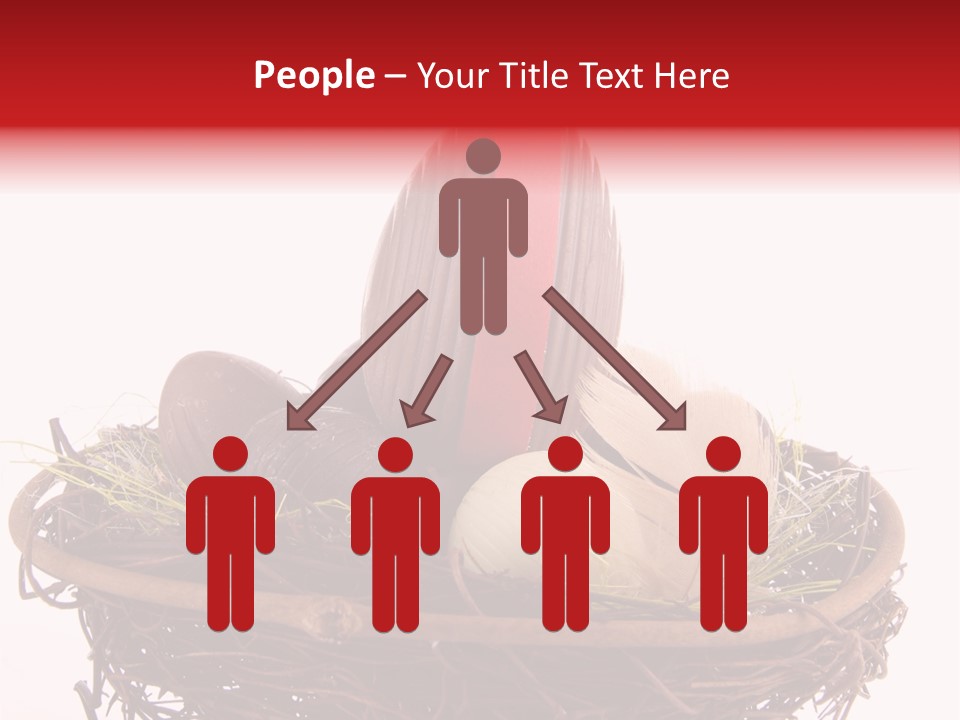 Studio Shot Decoration Candy PowerPoint Template