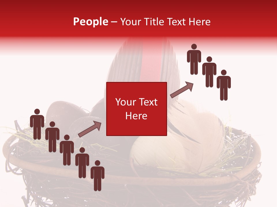 Studio Shot Decoration Candy PowerPoint Template