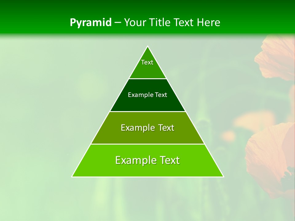 Florale Arri Saison PowerPoint Template