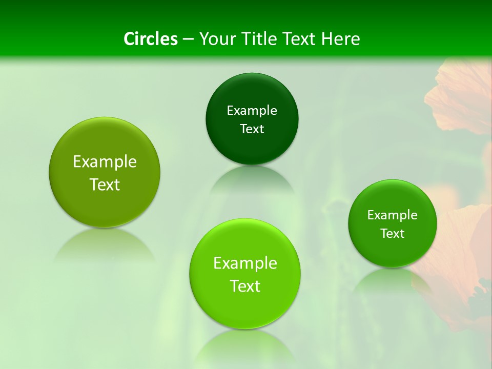 Florale Arri Saison PowerPoint Template