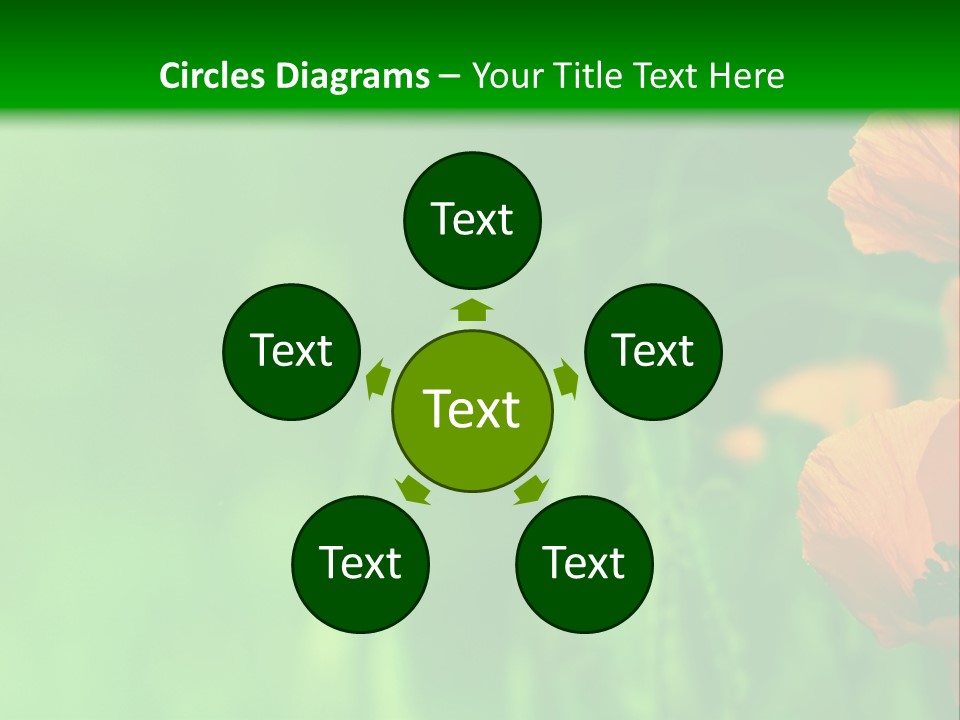 Florale Arri Saison PowerPoint Template