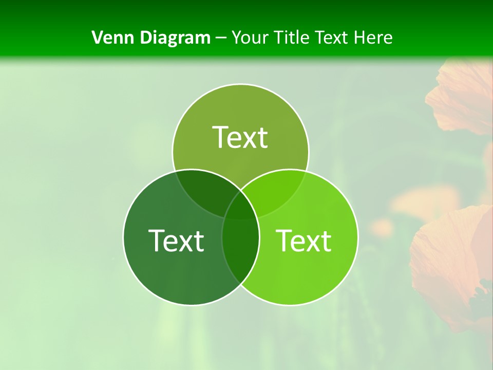 Florale Arri Saison PowerPoint Template