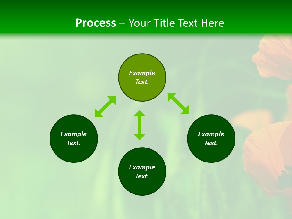 Florale Arri Saison PowerPoint Template