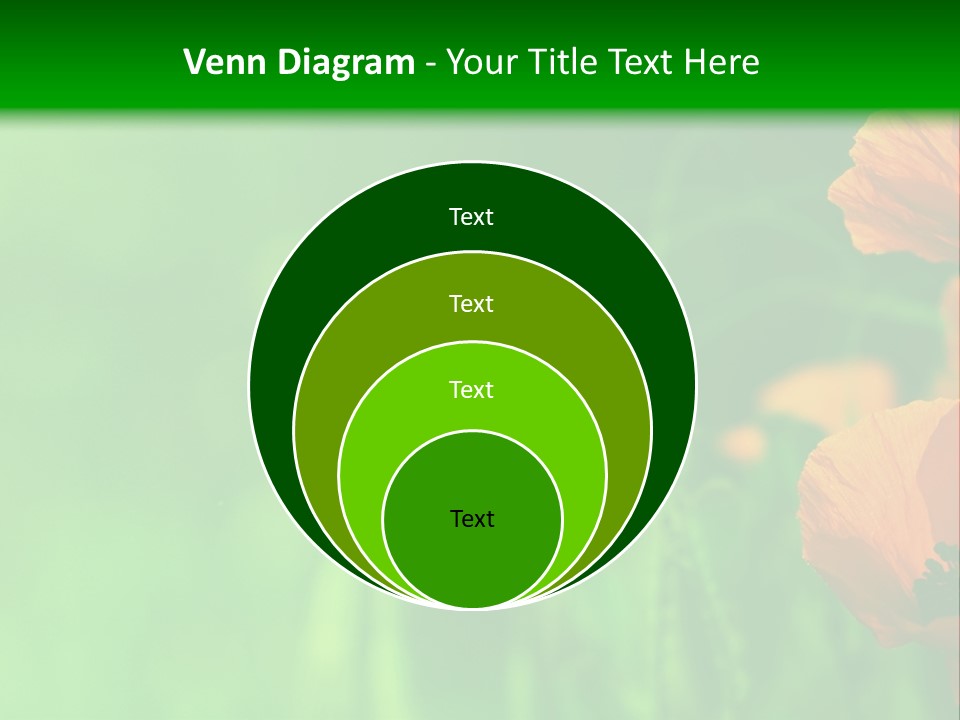 Florale Arri Saison PowerPoint Template