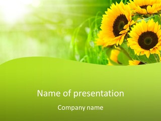 Banni Champ Tournesols PowerPoint Template