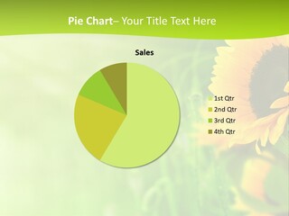 Banni Champ Tournesols PowerPoint Template