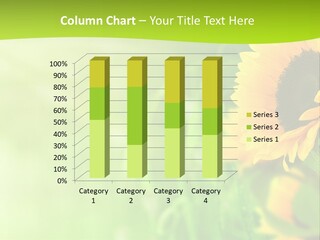 Banni Champ Tournesols PowerPoint Template