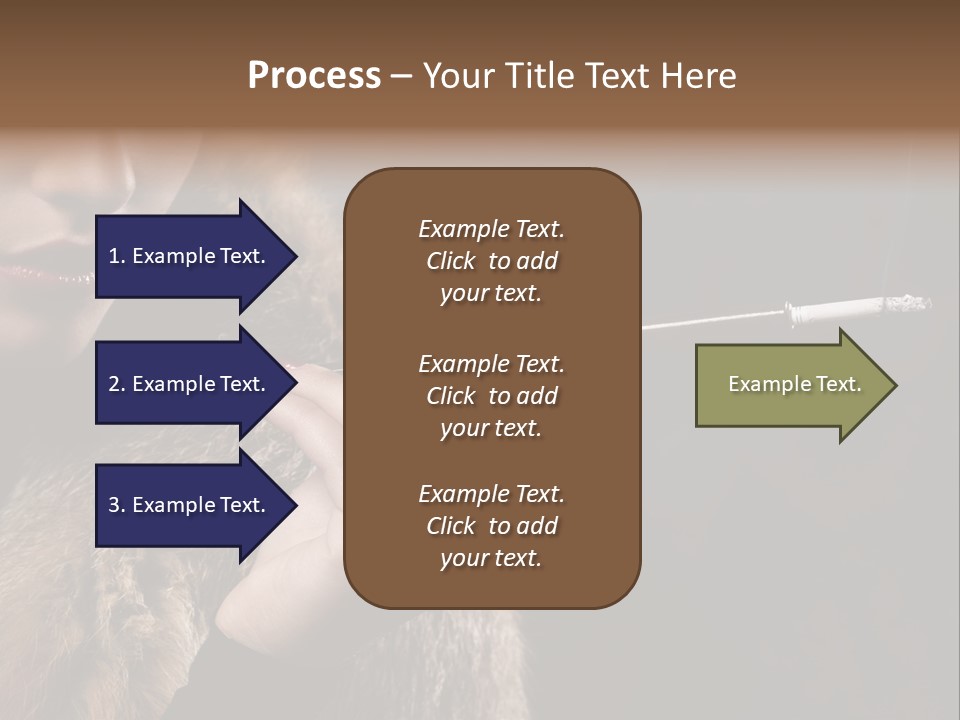 Lady Black Old PowerPoint Template