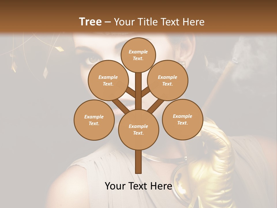 Star Elegance Vintage PowerPoint Template