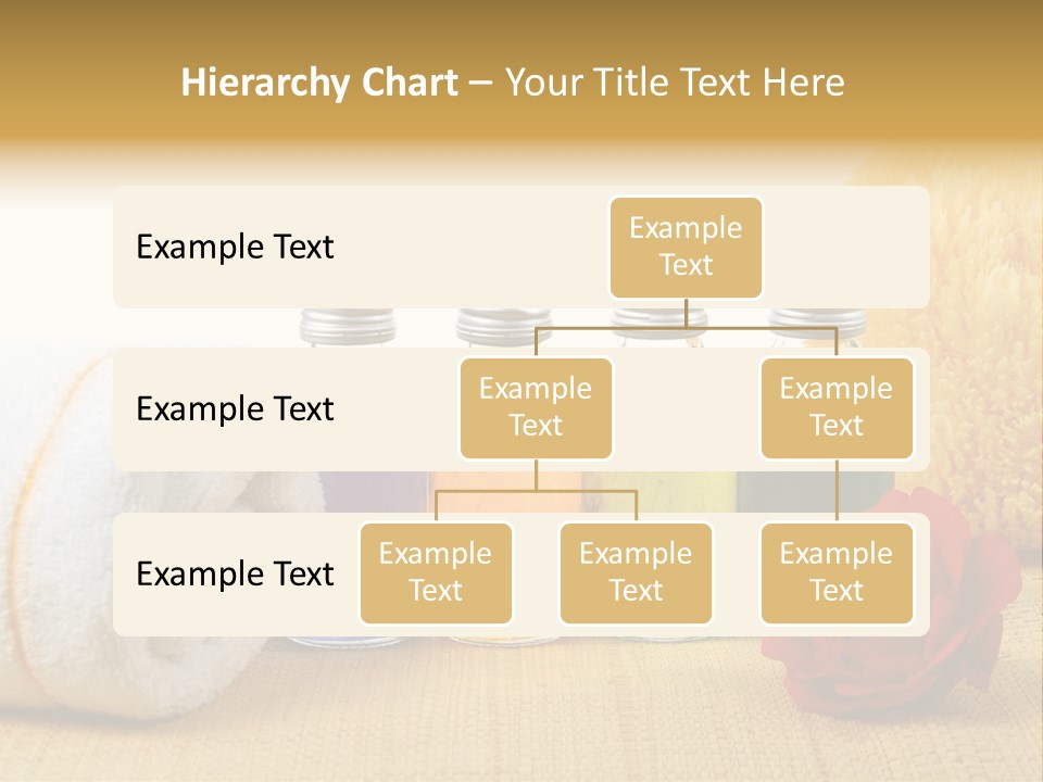 Schwam Vital Resort PowerPoint Template