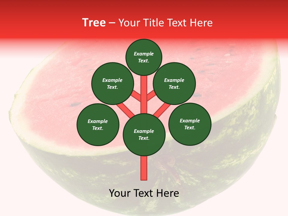 Melon D'eau Past Fruit PowerPoint Template