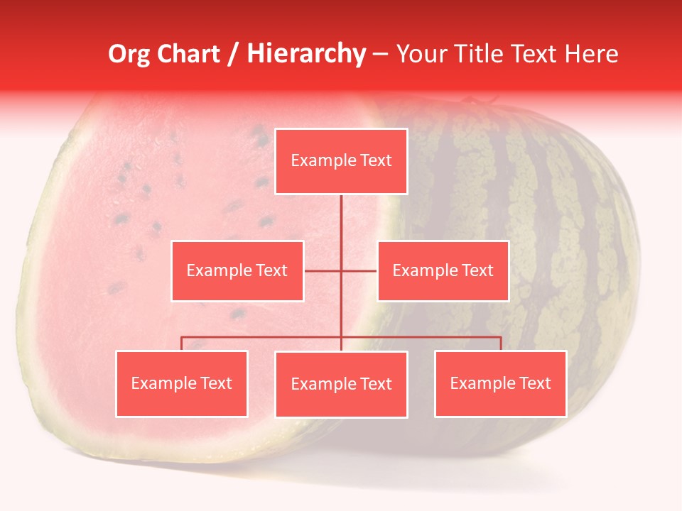 Diet Healthy Melon PowerPoint Template