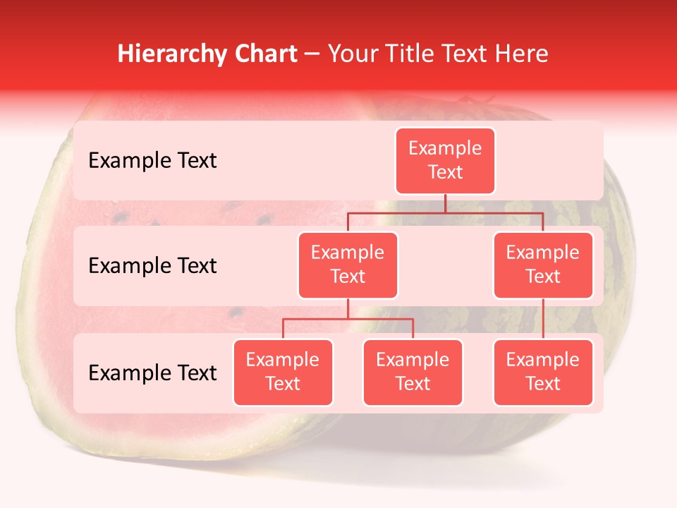 Diet Healthy Melon PowerPoint Template
