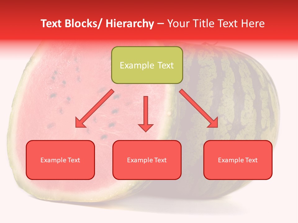 Diet Healthy Melon PowerPoint Template