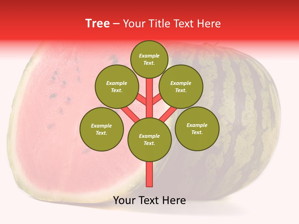 Diet Healthy Melon PowerPoint Template