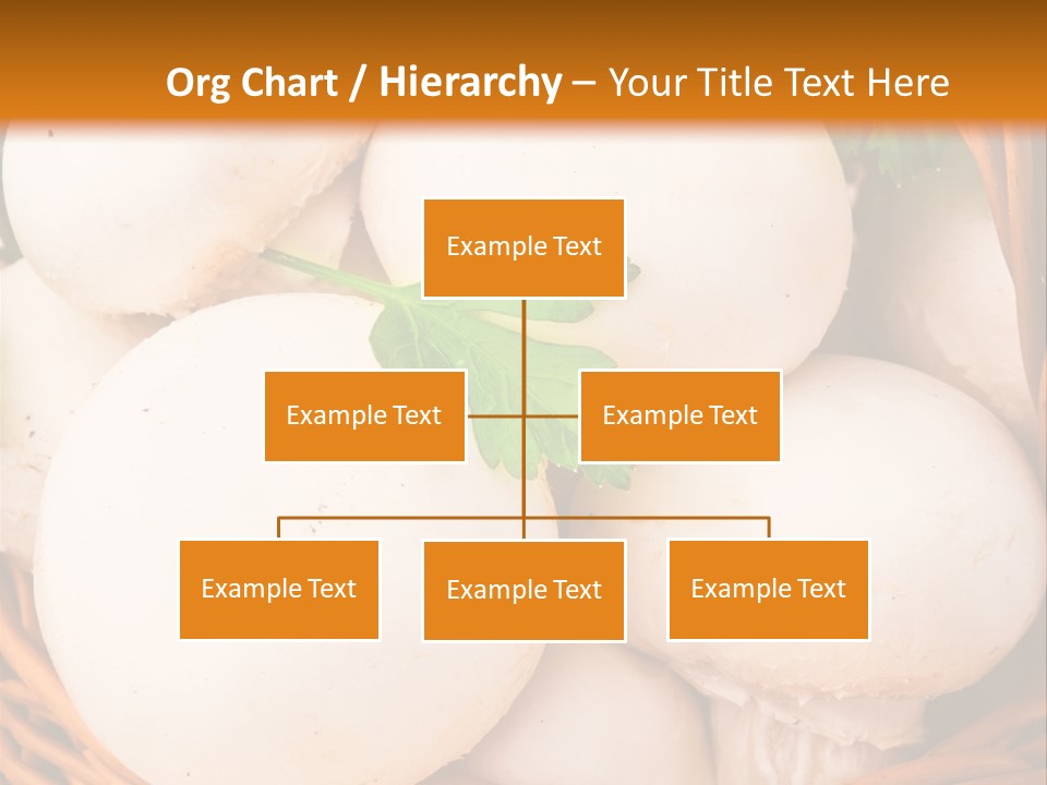 Meal Harvest Eating PowerPoint Template