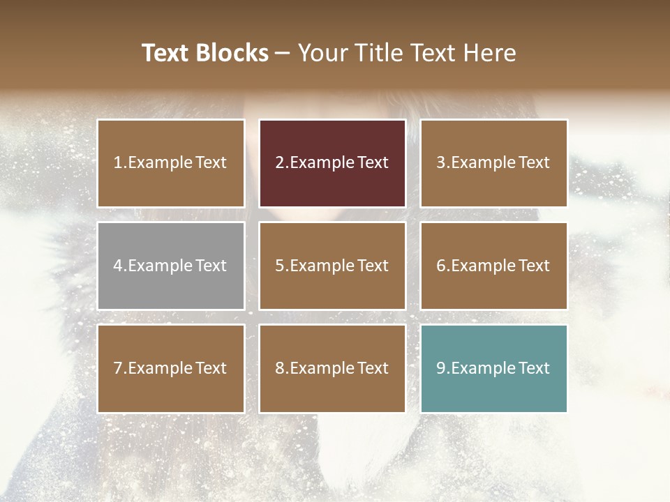 Fur Woman Frozen PowerPoint Template