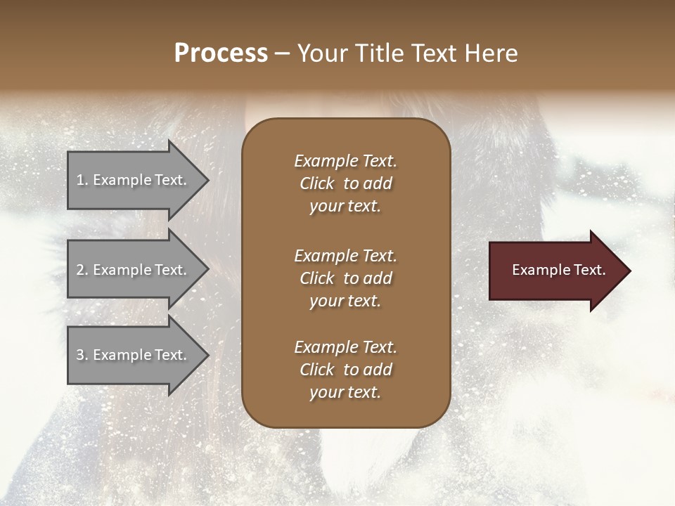 Fur Woman Frozen PowerPoint Template